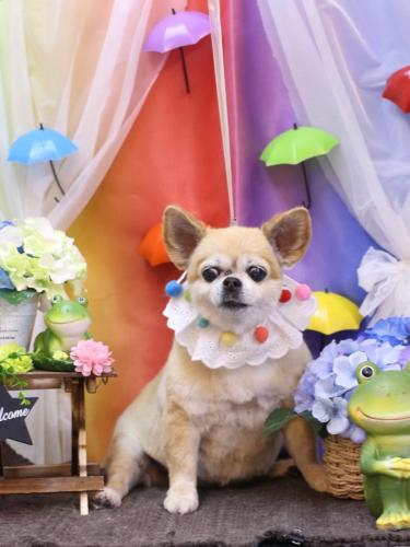 20230601ゆずちゃん